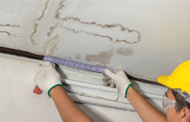 Affordable Water Damage Repair solutions in Bucoda, WA